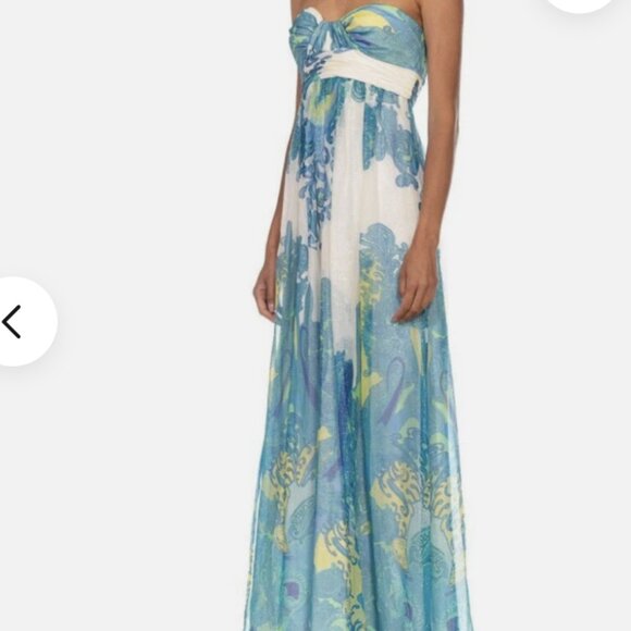 Cache Paisley Maxi Dress. Dress size 4 - Picture 2 of 5